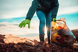 Beach cleaning image